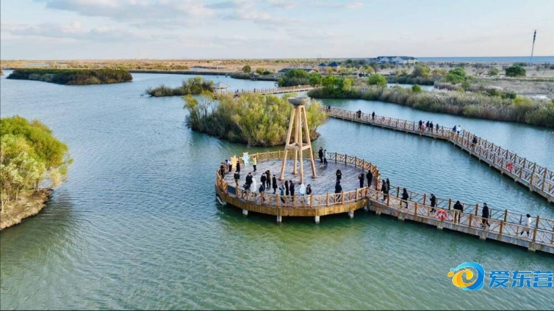 地方经济和 地方经济和